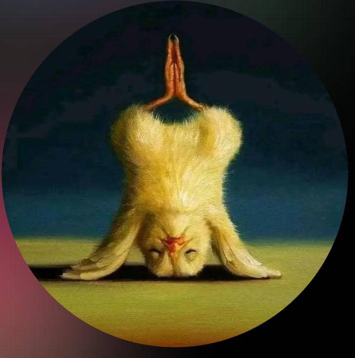 testifier profile pic