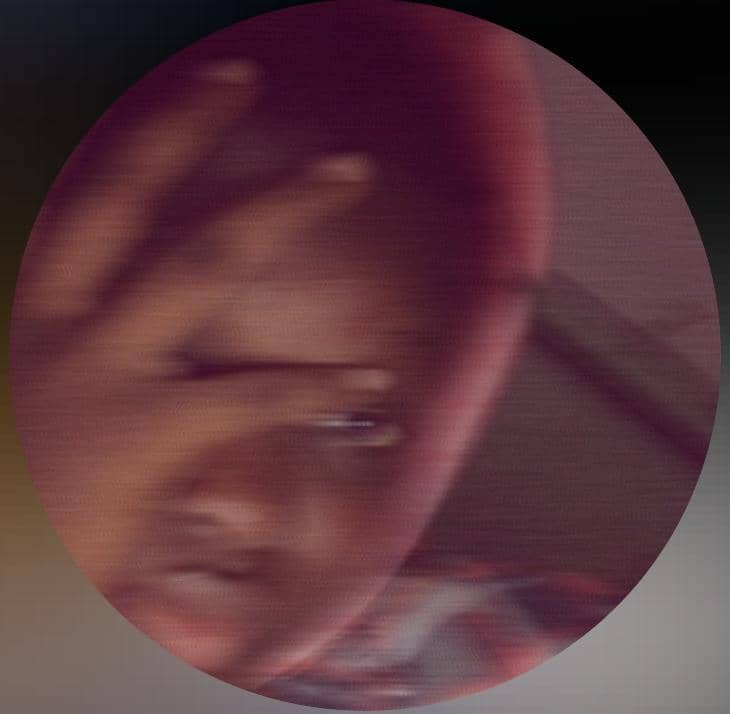 testifier profile pic